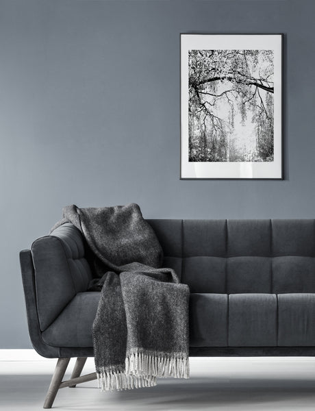 Sisustusjuliste Pihakoivu