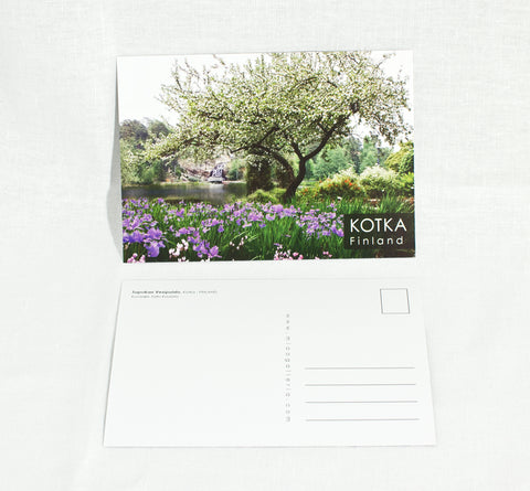 Kotka -postikortti