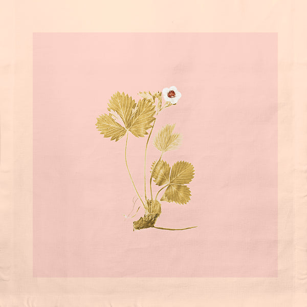 Mansikka-kuvitus, Mia.O