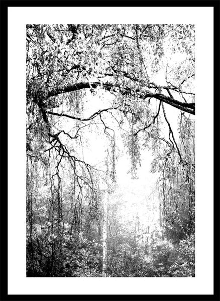 Juliste 50x70, mustavalkoiset julisteet, julisteet